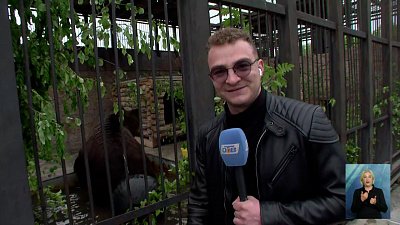 Новое жилище Малыша в Челябинском зоопарке