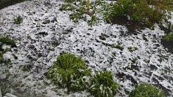 В нескольких районах Челябинской области выпал снег