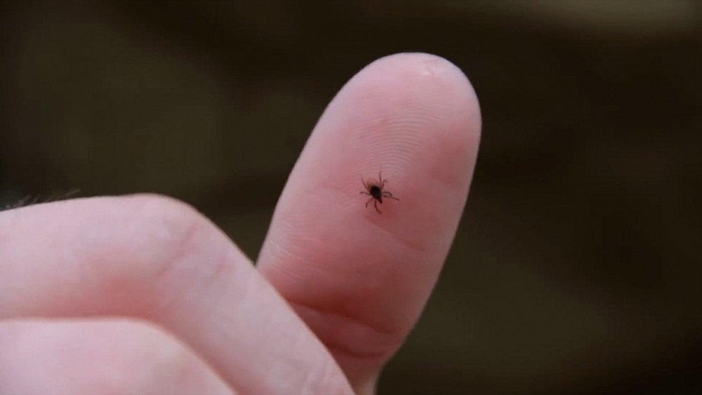 О здоровье 21.05.2022