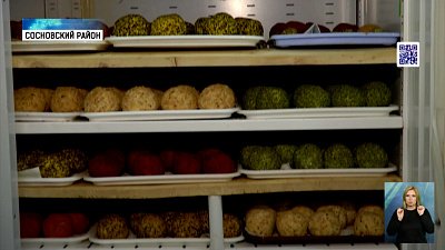 Южноуральцы усовершенствовали швейцарский сыр