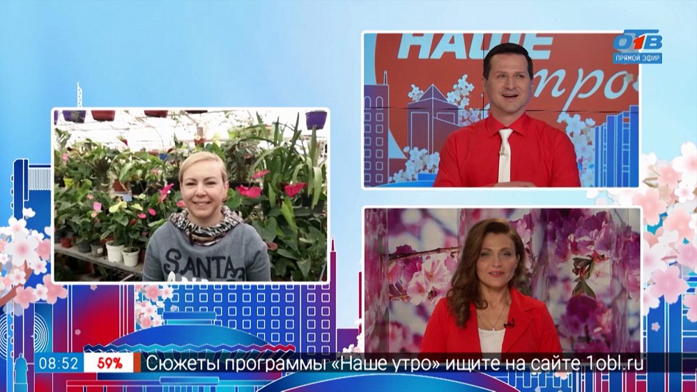 Грибы в домашних условиях — Гость на связи