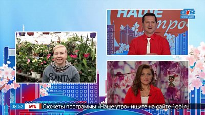 Грибы в домашних условиях — Гость на связи