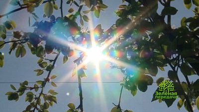 Зеленая передача 26.05.2022