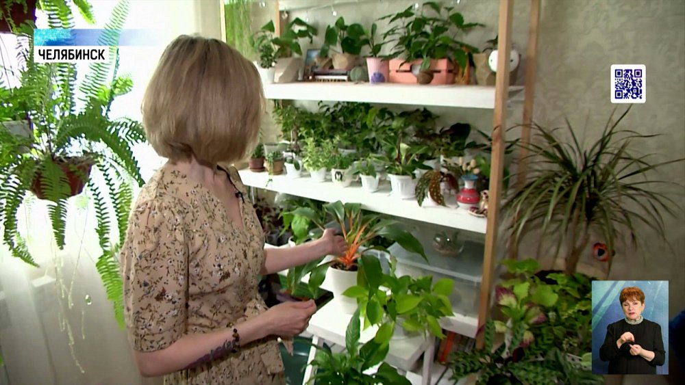 Что модно высаживать в квартирах?