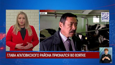 Глава Агаповкского района признался во взятке