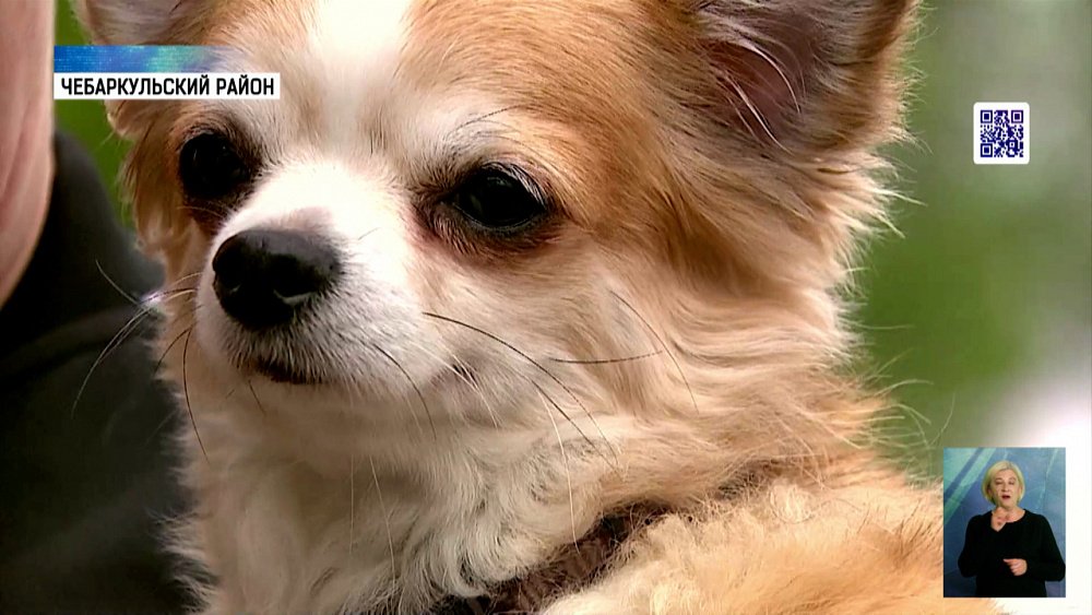 Вырос спрос на зооспециалистов