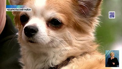 Вырос спрос на зооспециалистов