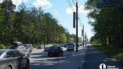 В Челябинске проведут санитарную чистку леса вдоль улицы Худякова