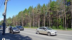 В Челябинске проведут санитарную чистку леса вдоль улицы Худякова