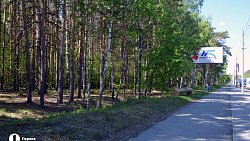 В Челябинске проведут санитарную чистку леса вдоль улицы Худякова