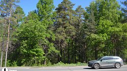 В Челябинске проведут санитарную чистку леса вдоль улицы Худякова