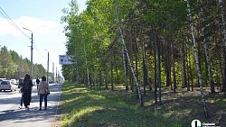 В Челябинске проведут санитарную чистку леса вдоль улицы Худякова