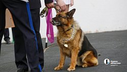 В Челябинске отпраздновали День пограничника