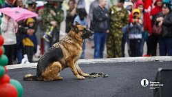 В Челябинске отпраздновали День пограничника