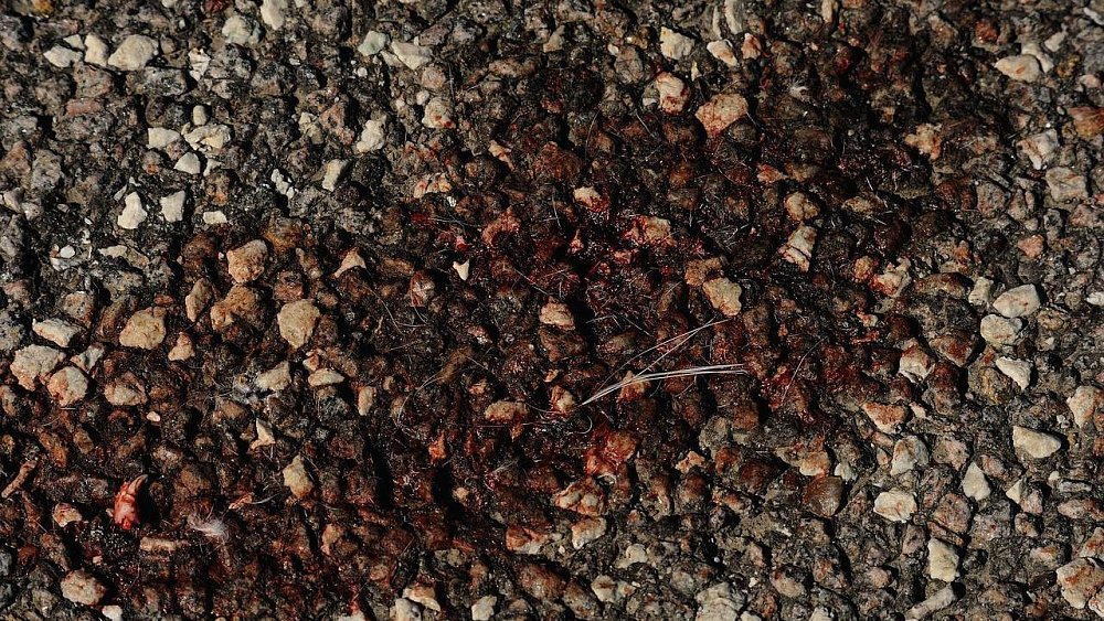 Стала известна личность мужчины, погибшего в драке в центре Челябинска