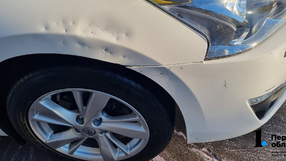 Бродячие собаки покусали Nissan на парковке в Челябинске