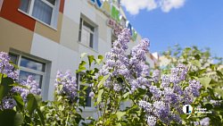 Оздоровительный комплекс с бассейном открыли в детском саду Челябинска