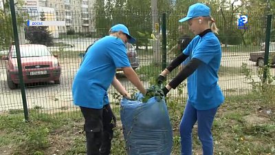 Стартует сезон детских трудовых отрядов