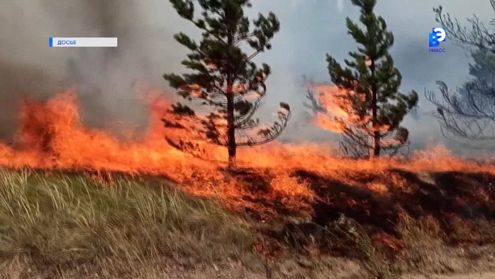 В регионе отменяют противопожарный режим