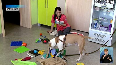 Стаффу Арчи возвращают веру в людей чтением книг