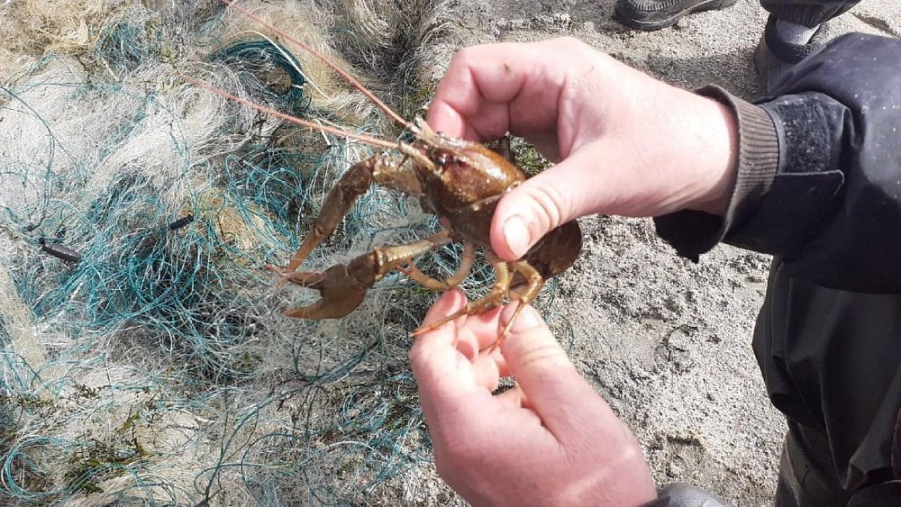 В области возбудили 11 уголовных дел за незаконную рыбалку на челябинских озерах