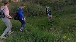 Для челябинцев проводят экскурсии по птичьим местам