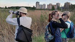 Для челябинцев проводят экскурсии по птичьим местам