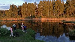 Для челябинцев проводят экскурсии по птичьим местам