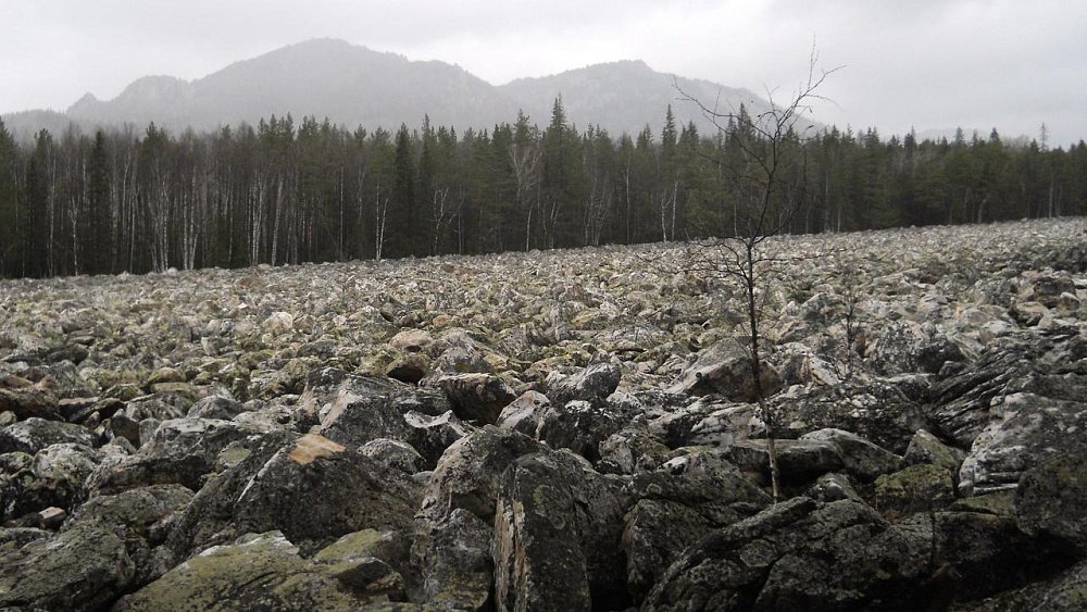 Пожилая семейная пара потерялась в лесу Челябинской области
