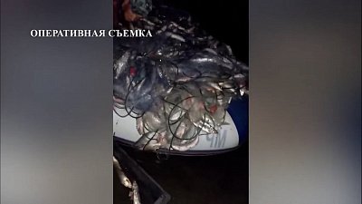 Полицейские задержали браконьеров, которые выловили тонну рыбы
