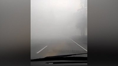 Трассу в Кургане вновь заволокло дымом от лесных пожаров