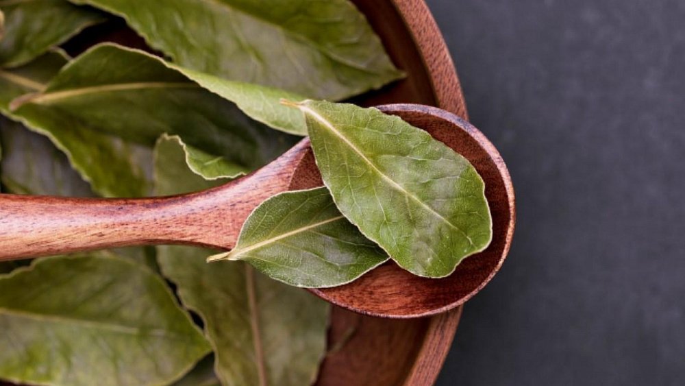 Преимущества лаврового листа для здоровья