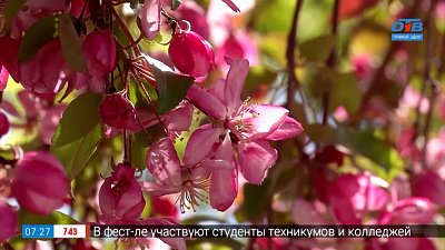 Эти яблони станут гордостью вашего сада в рубрике «Руки садовода»