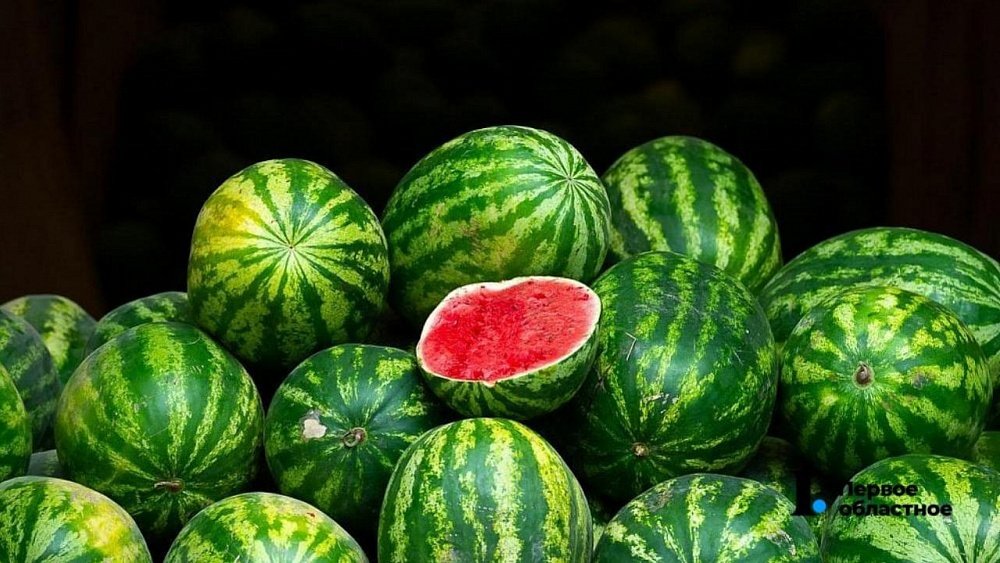 В Челябинскую область завезли более 100 тонн арбузов
