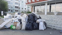 Жители Полетаево собрали более тонны отходов на переработку