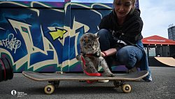 30 кадров с фестиваля «Российская студенческая весна» в Челябинске