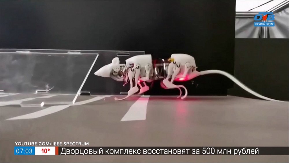 Робот-крыса в рубрике «Инспектор Гаджет»
