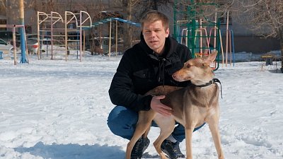 Специальный репортаж «наПасть»: о бездомных собаках
