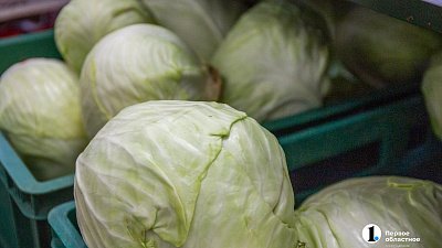 На 33% подешевела капуста в Челябинской области
