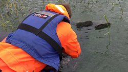 На озере под Челябинском нашли тело утонувшего рыбака