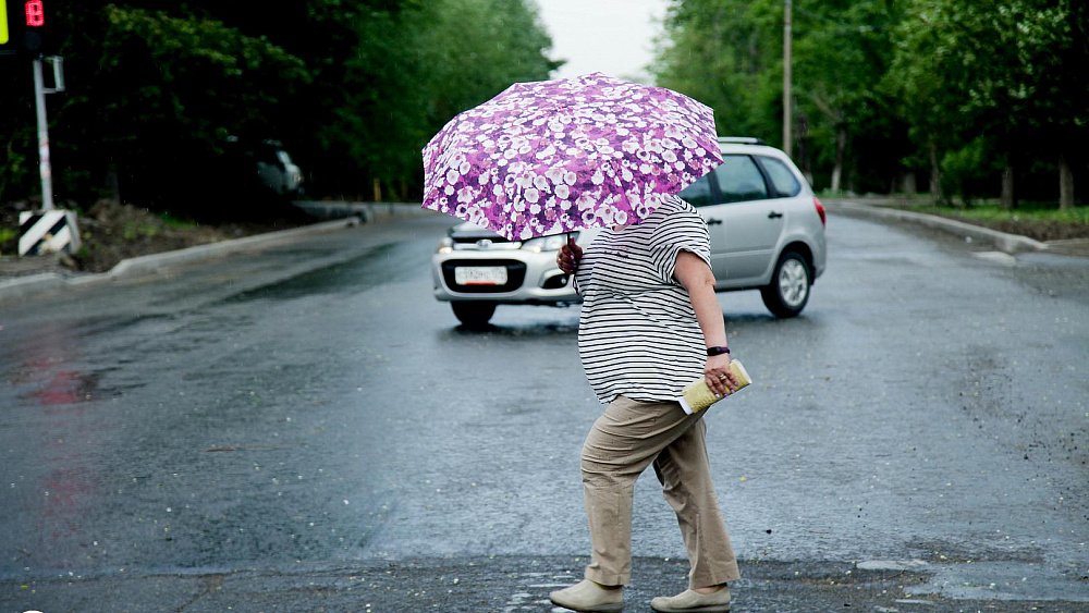 Дожди и туман прогнозируют в Челябинской области