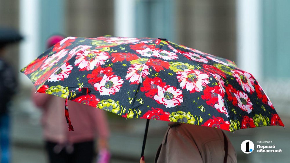 Пасмурную погоду и небольшие дожди обещают на Южном Урале