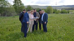 Приют для бездомных животных откроют в сентябре 2023 года в Катав-Ивановске