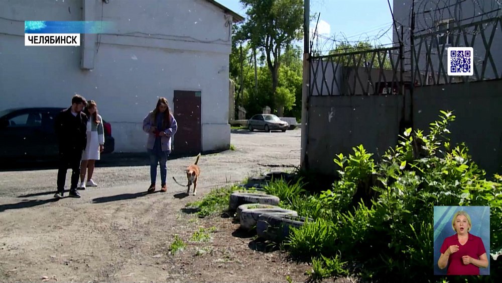 В Челябинске ищут хозяина собаки-поводыря