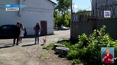 В Челябинске ищут хозяина собаки-поводыря