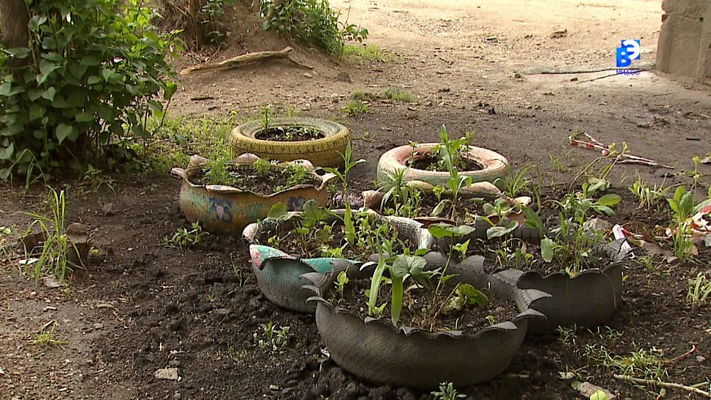 Лебеди из автопокрышек под запретом