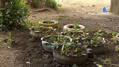 Лебеди из автопокрышек под запретом