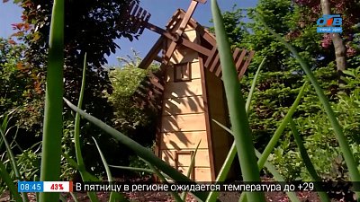 Как выиграть садовую мельницу в сюжете «Новый конкурс от «Зелёной передачи»