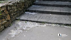 Сезон тополиного пуха начался в Челябинске