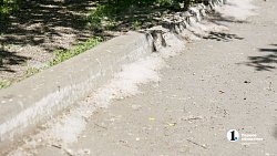 Сезон тополиного пуха начался в Челябинске